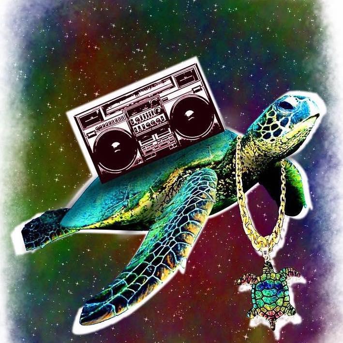 space-turtle